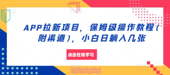 APP拉新项目，保姆级操作教程(附渠道)，小白日躺入几张【揭秘】-圆梦资源网