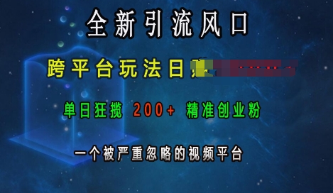 全新引流风口，跨平台玩法日入上k，单日狂揽200+精准创业粉，一个被严重忽略的视频平台-圆梦资源网