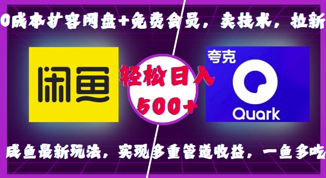 0成本扩容网盘+免费会员，卖技术，拉新，咸鱼最新玩法，实现多重管道收益，一鱼多吃，轻松日入500+-圆梦资源网