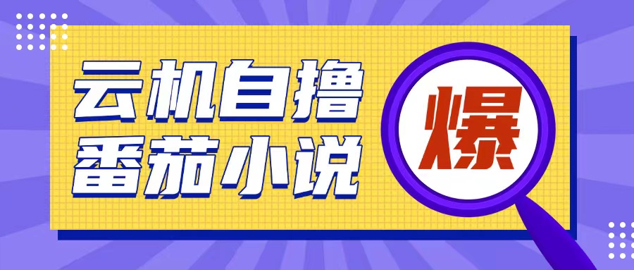 首发云手机自撸小说玩法，10块钱成本可撸200+收益操作简单【揭秘】-圆梦资源网