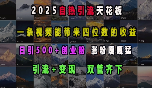 2025自热引流天花板，一条视频能带来四位数的收益，引流+变现双管齐下，日引500+创业粉，涨粉嘎嘎猛-圆梦资源网