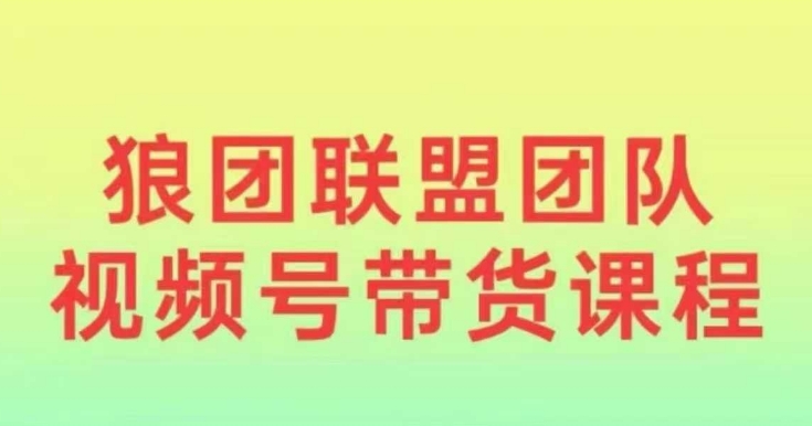 狼团联盟2024视频号带货，0基础小白快速入局视频号-圆梦资源网