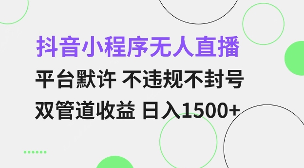 抖音小程序无人直播 平台默许 不违规不封号 双管道收益 日入多张 小白也能轻松操作【仅揭秘】-圆梦资源网