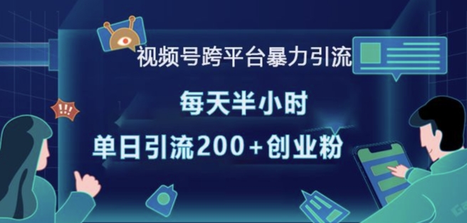 视频号跨平台暴力引流，每天半小时，单日引流200+精准创业粉-圆梦资源网