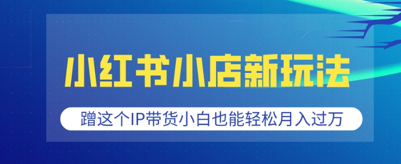 小红书小店新玩法，蹭这个IP带货，小白也能轻松月入过W【揭秘】-圆梦资源网