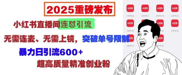 2025重磅发布：小红书直播间连怼引流，无需连麦、无需上镜，突破单号限制，暴力日引流600+-圆梦资源网