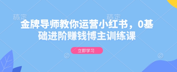 金牌导师教你运营小红书，0基础进阶赚钱博主训练课-圆梦资源网