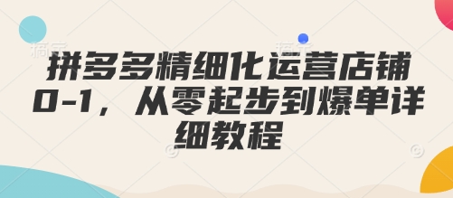 拼多多精细化运营店铺0-1，从零起步到爆单详细教程-圆梦资源网