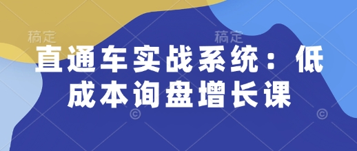 直通车实战系统：低成本询盘增长课，让个人通过技能实现升职加薪，让企业低成本获客，订单源源不断-圆梦资源网