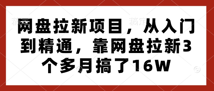 网盘拉新项目，从入门到精通，靠网盘拉新3个多月搞了16W-圆梦资源网