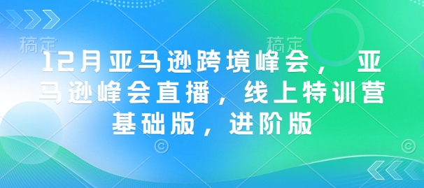 12月亚马逊跨境峰会， 亚马逊峰会直播，线上特训营基础版，进阶版-圆梦资源网