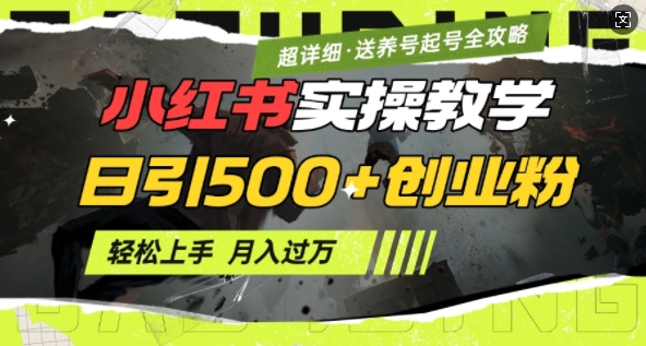 2月小红书最新日引500+创业粉实操教学【超详细】小白轻松上手，月入1W+，附小红书养号起号SOP-圆梦资源网