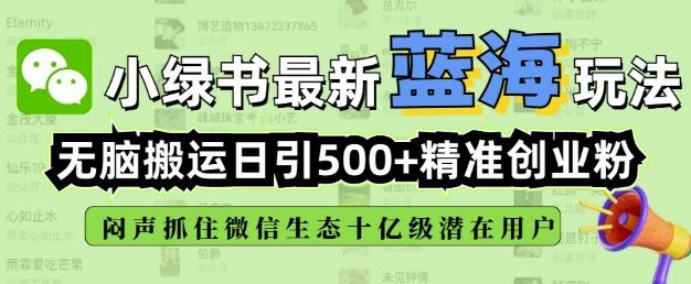 小绿书无脑搬运引流，全自动日引500精准创业粉，微信生态内又一个闷声发财的机会-圆梦资源网