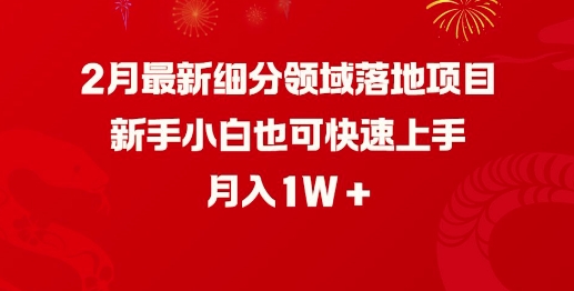 2月最新细分领域落地项目，新手小白也可快速上手，月入1W-圆梦资源网