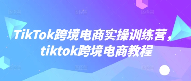 TikTok跨境电商实操训练营，tiktok跨境电商教程-圆梦资源网