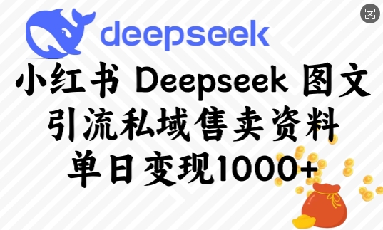 小红书Deepseek图文引流私域售卖资料，单日变现多张-圆梦资源网