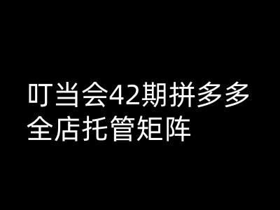 叮当会拼多多打爆班原创高阶技术第42期，拼多多全店托管矩阵-圆梦资源网