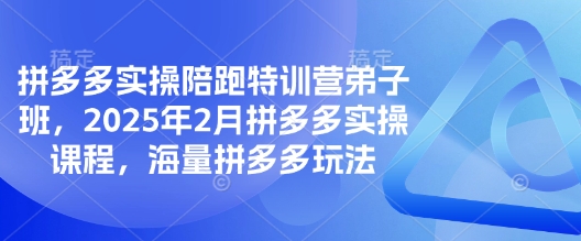 拼多多实操陪跑特训营弟子班，2025年2月拼多多实操课程，海量拼多多玩法-圆梦资源网