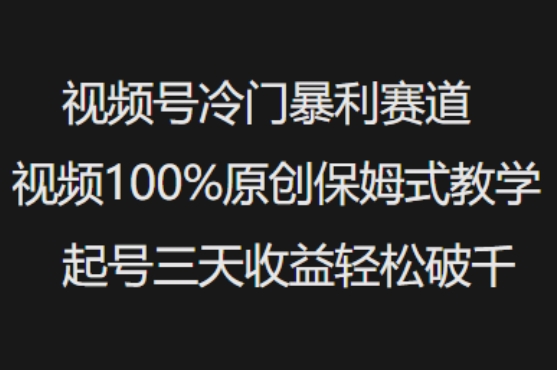 视频号冷门暴利赛道视频100%原创保姆式教学起号三天收益轻松破千-圆梦资源网