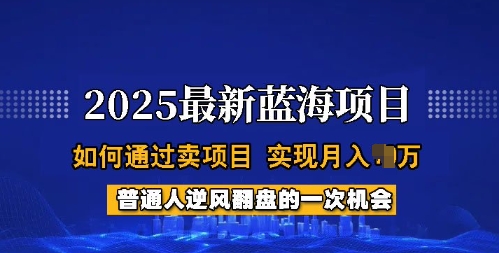 2025蓝海项目，普通人如何通过卖项目，实现月入过W，全过程【揭秘】-圆梦资源网