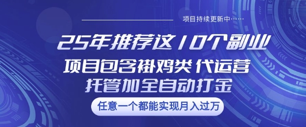 25年推荐这10个副业项目包含褂鸡类、代运营托管类、全自动打金类【揭秘】-圆梦资源网