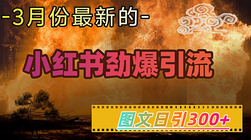 小红书超劲爆引流手段，图文日引300+轻松变现1W-圆梦资源网